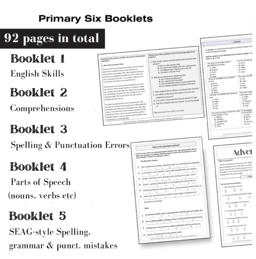 Primary 6 (Literacy Booklets) BUNDLE