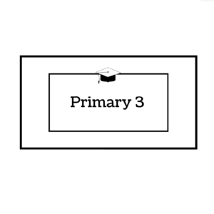 Primary 3