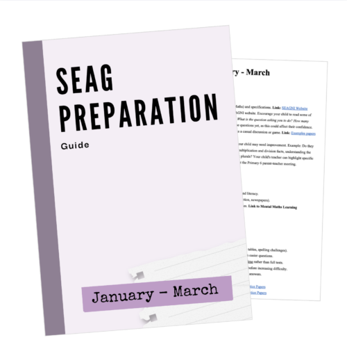 SEAG Preparation Guide - Jan (P6) to March (P6)