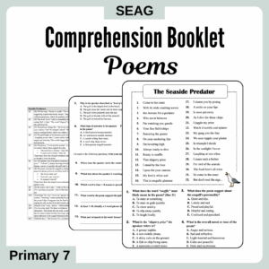 Poem Comprehensions