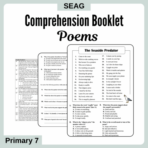 Poem Comprehensions