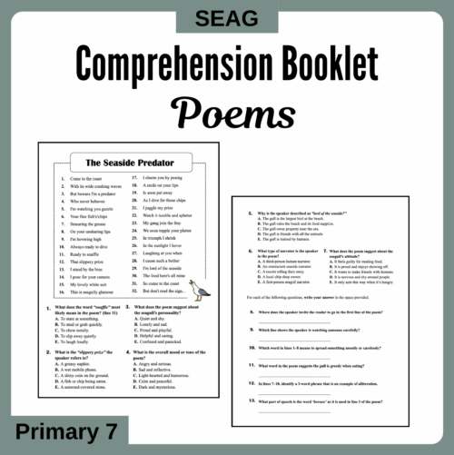 Comprehensions (Poems)