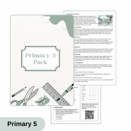 Term-based Pack (P5)