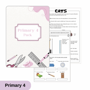 Term-based Packs (P4)