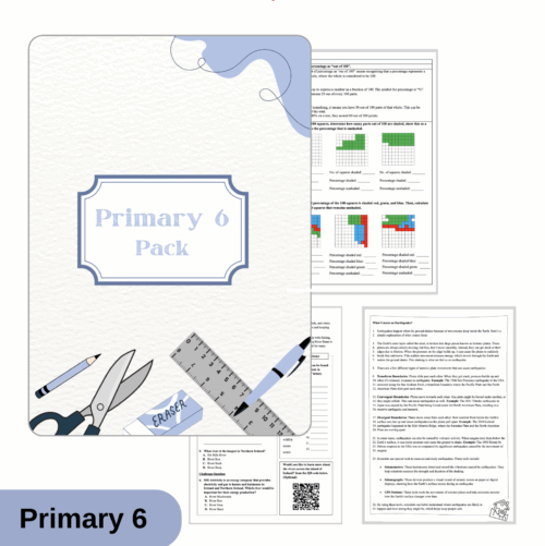 Term-based Packs (P6)