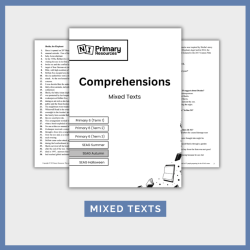 Screenshot 2026-07-07 at 14.21.13 SEAG-style Comprehensions (Mixed Texts)