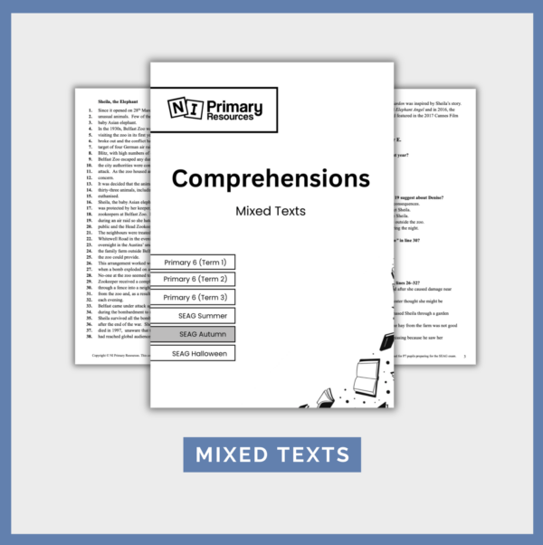 Screenshot 2026-07-07 at 14.21.13 SEAG-style Comprehensions (Mixed Texts)
