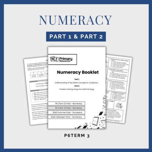 numeracy-booklet Three pages of the Numeracy Booklet (1) P6 Term 3 are shown, including the title, contents, and sample text, all with a blue border. "Numeracy Part 1 & Part 2" appear in bold.