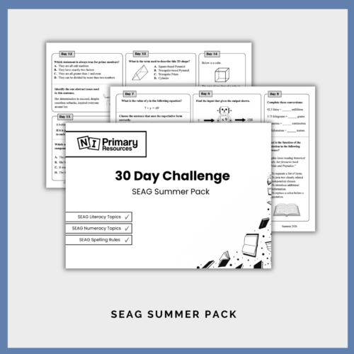 Screenshot 2026-07-07 at 12.39.34 30 Day Challenge Booklet (SEAG Summer Pack)